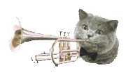 :trompette: